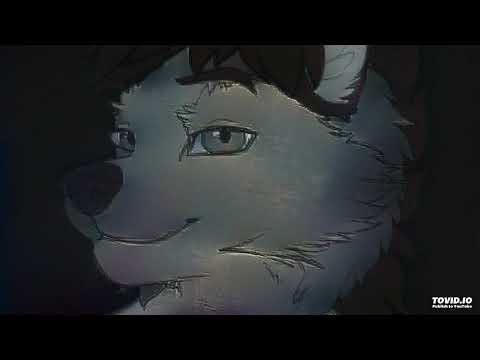 What is this song? (#3)