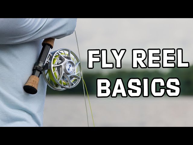 Fly Reels Explained, Basics You Need to Know