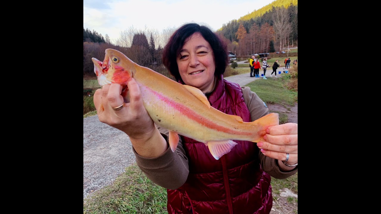 Золотая Форель/Рыбалка в Германии