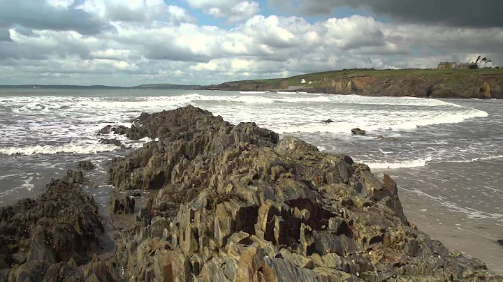 Daniel Scannell - seaweedjam project