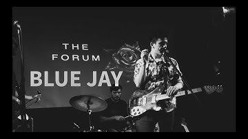 The Forum - Blue Jay (Official Music Video)