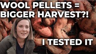 I tested Sheep Wool Fertilizer. DID IT WORK