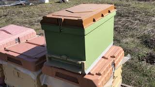 Strafor Ruşet İncelemesi