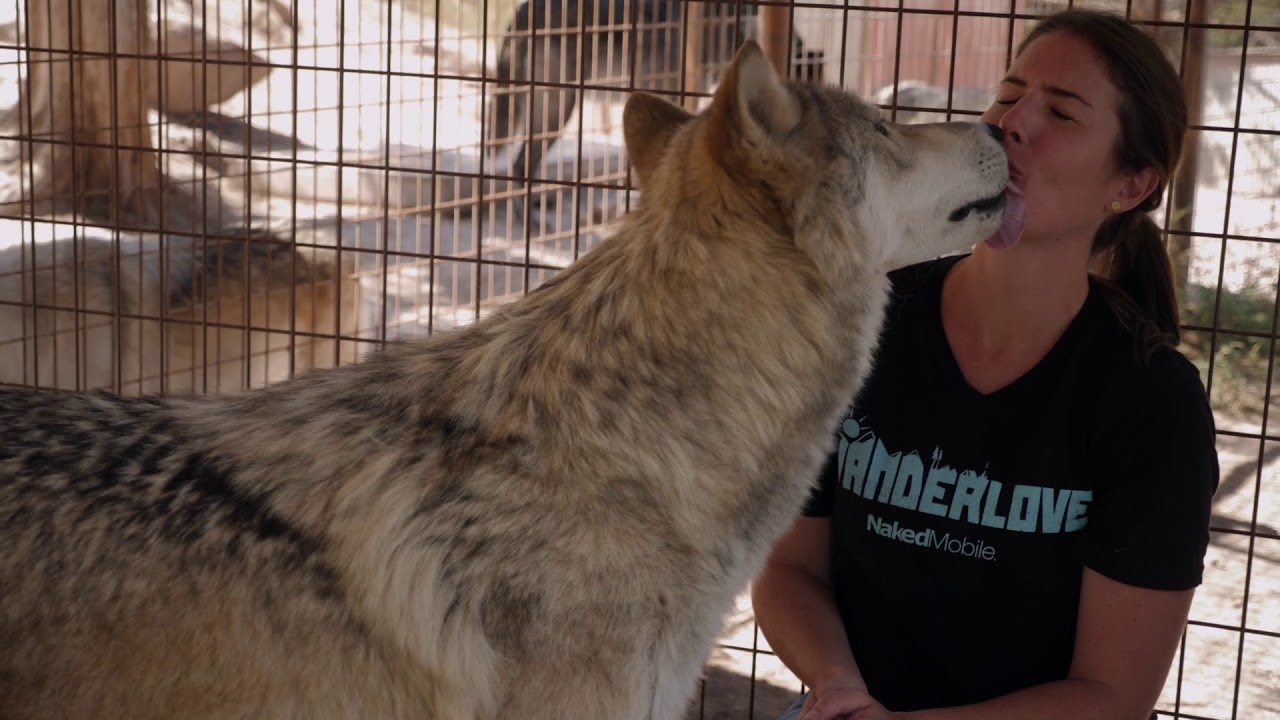 Kissed By A Wolf