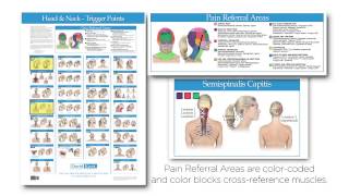 Trigger Point Chart - Head and Neck - v1