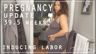 Pregnancy Update 39.5 Weeks Inducing Labor Tahiti Rey