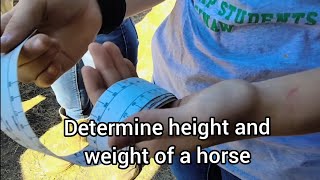 Using a Weight and Height Tape to determine how tall a horse is and how much is weighs