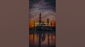 #تلاوة_خاشعة #ماهرالمعيقلي 🤍 #راحة_نفسية #viral #300k#fyp #foryou