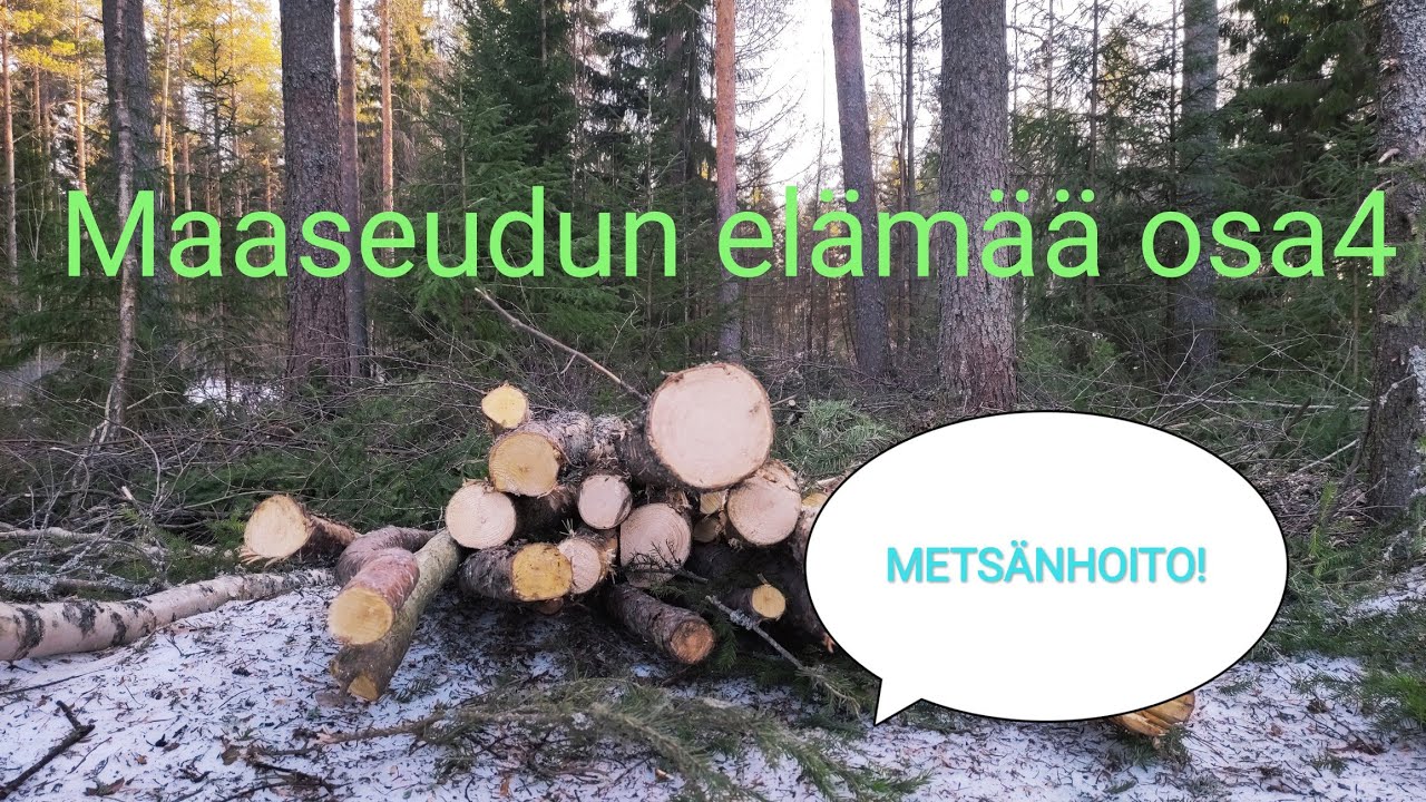 ELÄMÄÄ MAASEUDULLA OSA4! METSÄTÖITÄ JA PUUNAJOA MÖNKIJÄLLÄ -Coyntry life part4! forestry