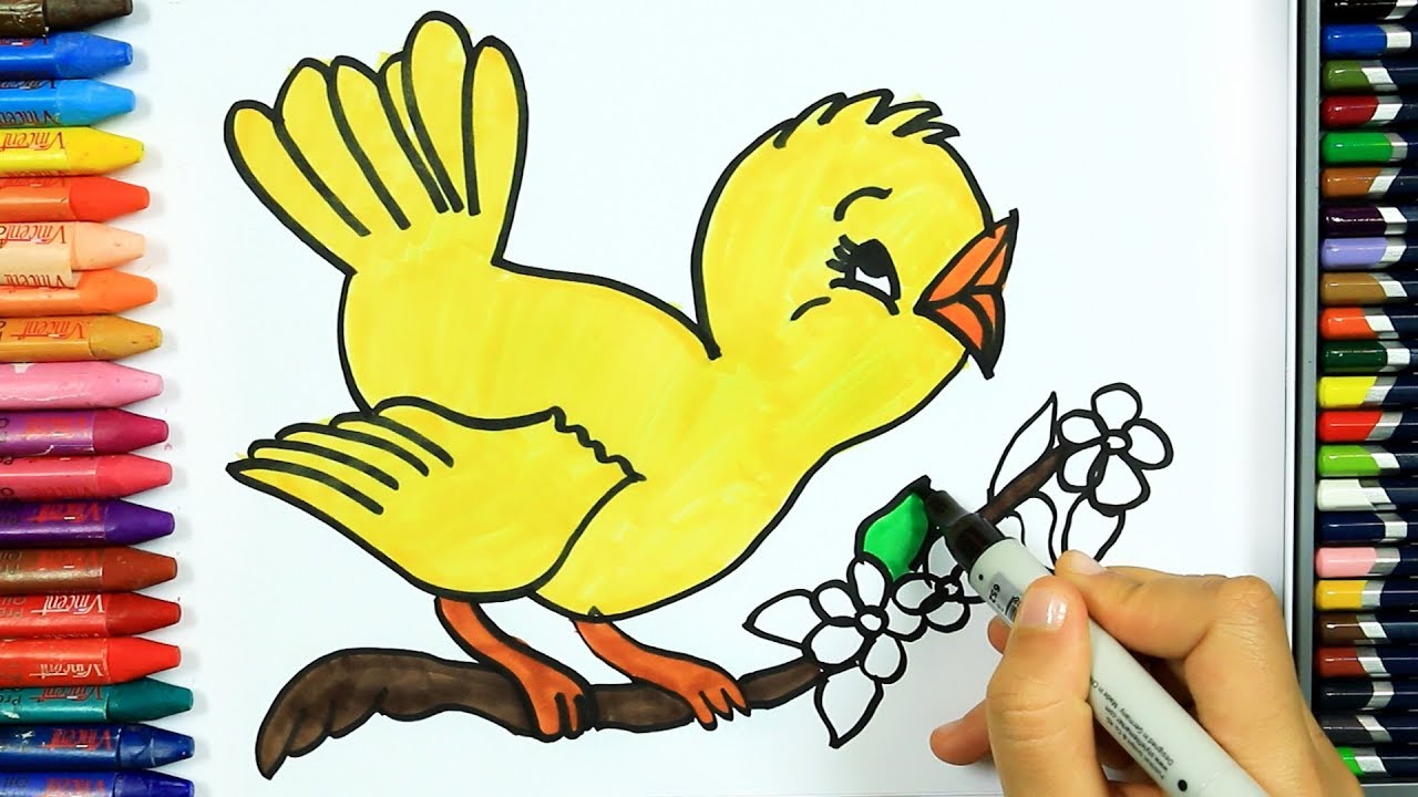 Come Disegnare E Colorare Uccello Colori Disegno Colorare Come Colorare Per Bambini Youtube