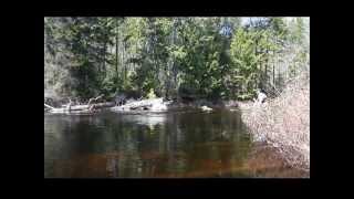 ADK 20130503 Lila Movie File