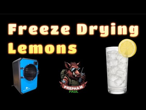 Freeze Dry Lemon - Basic Freeze Dry function