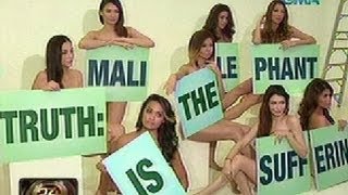 24Oras 11 Artista At Modelo, Naghubad Bilang Pagsuporta Sa Panawagang Palayain Si Mali