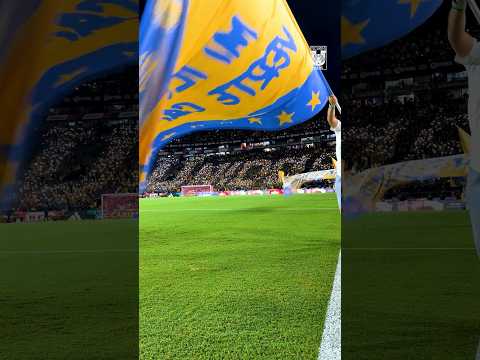 🇺🇦  𝐔 𝐍 𝐈 𝐃 𝐎 𝐒  🇺🇦