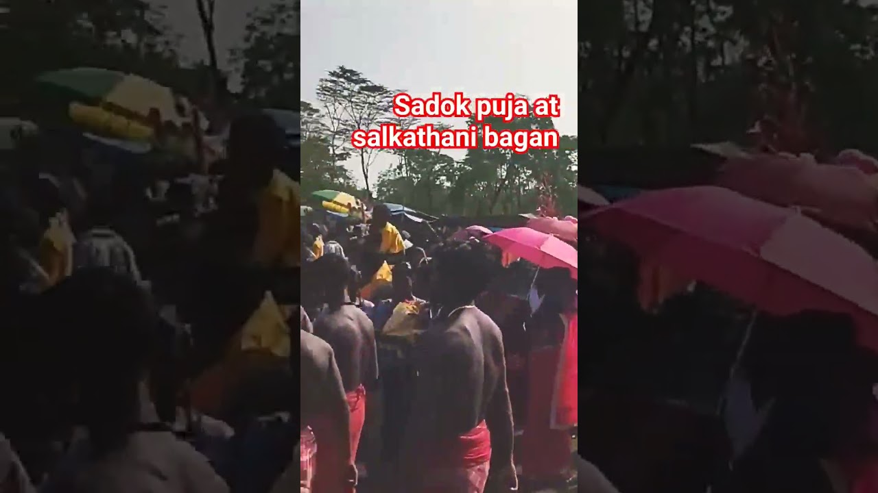 sadok puja at salkathani bagan || sadak puja 2024