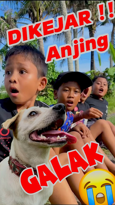 Chased by a fierce dog!!😭😱 #dog