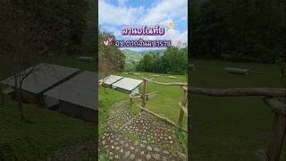 Review of Lan Anothai 🌿🏕 Taksin Maharat National Park, Tak Province. The upper lawn by the cabin ...