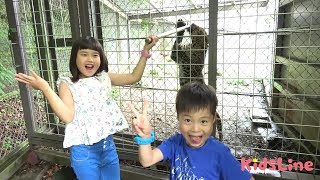 動物園 サファリパーク ヒョウ エサやり体験!! お出かけ こうくんねみちゃん ZOO Feeding