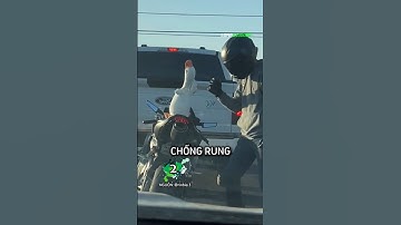 Những khoảnh khắc hài hước nhất của Biker khi gặp động vật 🤣 #shorts