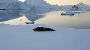 MERMAID ON ANTARCTICA CAMPSITE