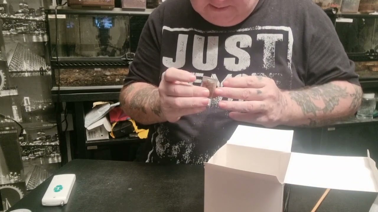 Bedford 2022 what did I get 