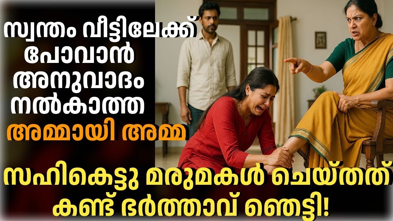 സ്വന്തം വീട്ടിലേക്ക്‌ പോവാൻ അനുവാദം നൽകാത്ത അമ്മായി അമ്മയോട് മരുമകൾ ചെയ്‍തത് കണ്ട് ഭർത്താവ് ഞെട്ടി! 