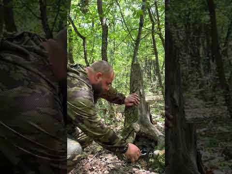 Добыл змею для пропитания