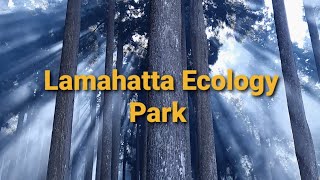 See where I reached finally|| Lamahatta Eco Park