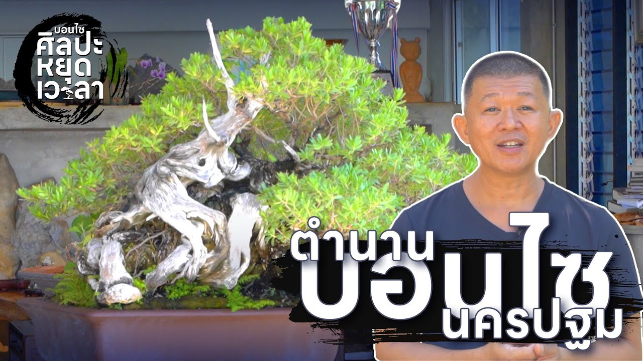 ตำนานบอนไซนครปฐม | EP.2 บอนไซศิลปะหยุดเวลา
