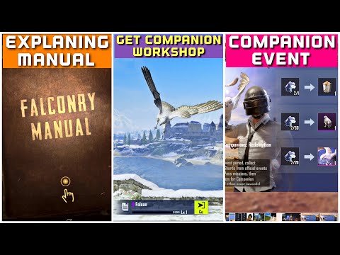 Full Explain Summon Companions Event And Falconry Manual