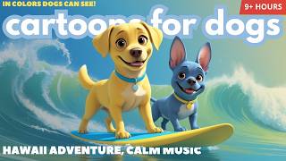 Bluey & Luna’s Hawaii Adventure 🌴 | Cartoons for Dogs in Colors they see + Deep Relaxation Music screenshot 4