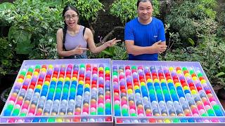 Puzzle sort ball game solve challenge very smart