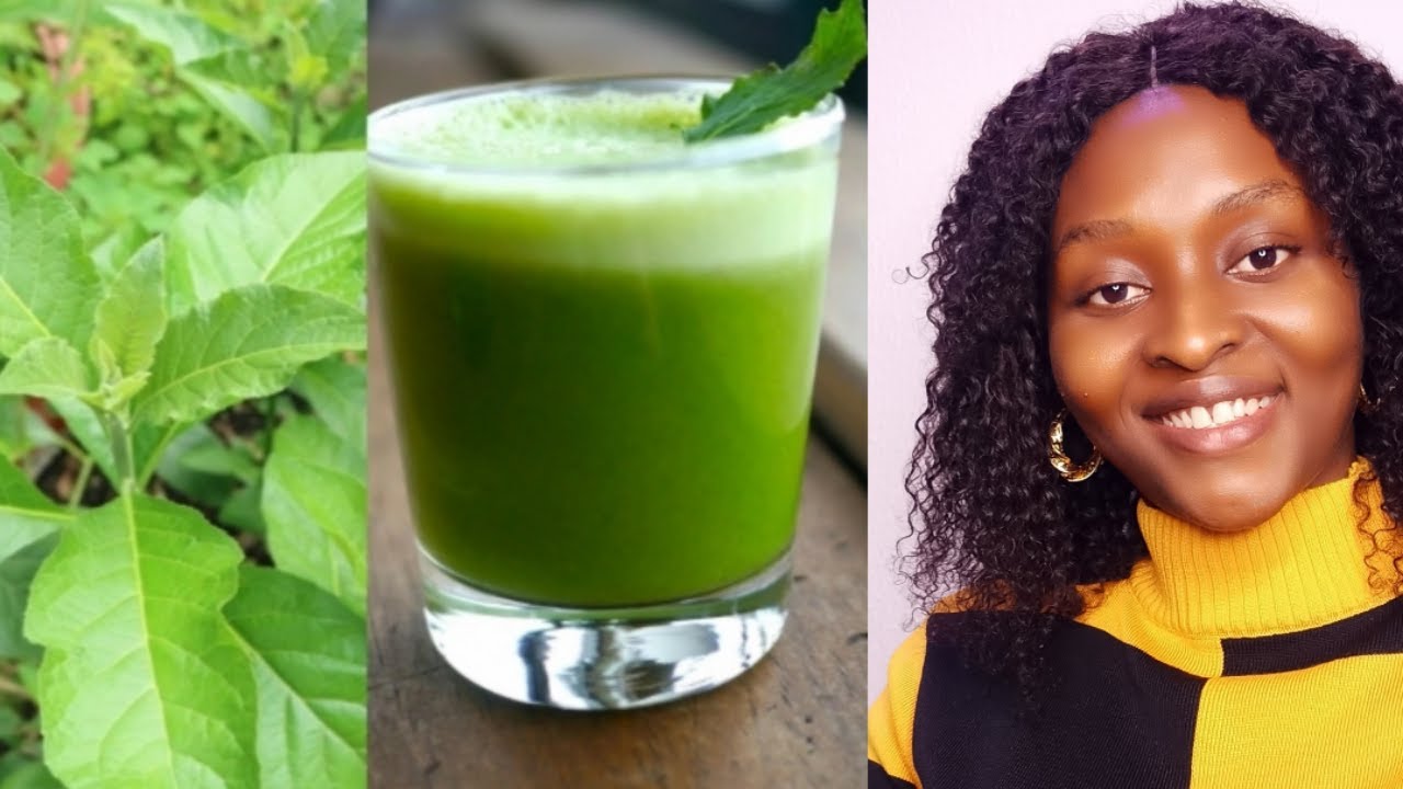 Amazing Benefits Of Bitter Leaf You didn't Know Think Natural YouTube