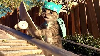 Детский сад для маленьких котят - Уход за моей любимой кошкой - Игры для малышей screenshot 2