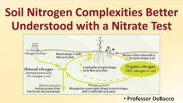 Soil Nitrogen Complexities Better Understood with a Nitrate Test
