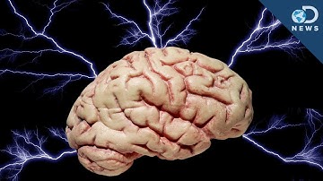 Brain in a Lab Controls a Power Plant