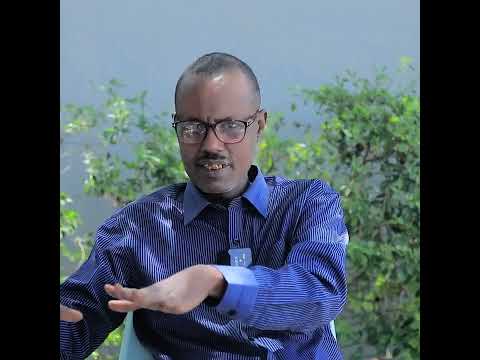 Siyasi Ayanle Ka Kasojeeda Selal Aya Canbarey Damaca Gamurey E Siyasinta Ree Borada Ka Rixayaan