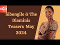 Sibongile & The Dlaminis Teasers May 2024  | Mzansi Wethu