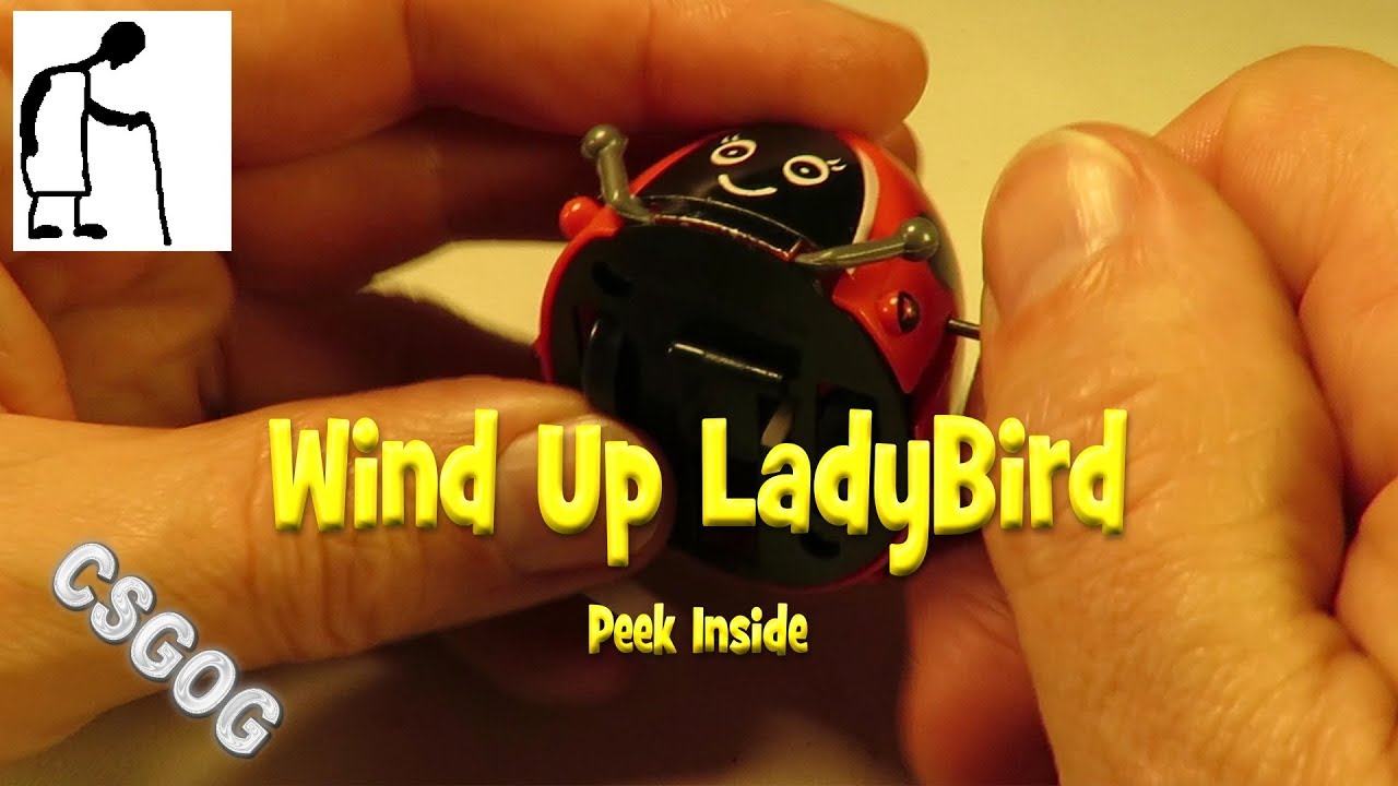 Peek Inside Wind Up LadyBird YouTube