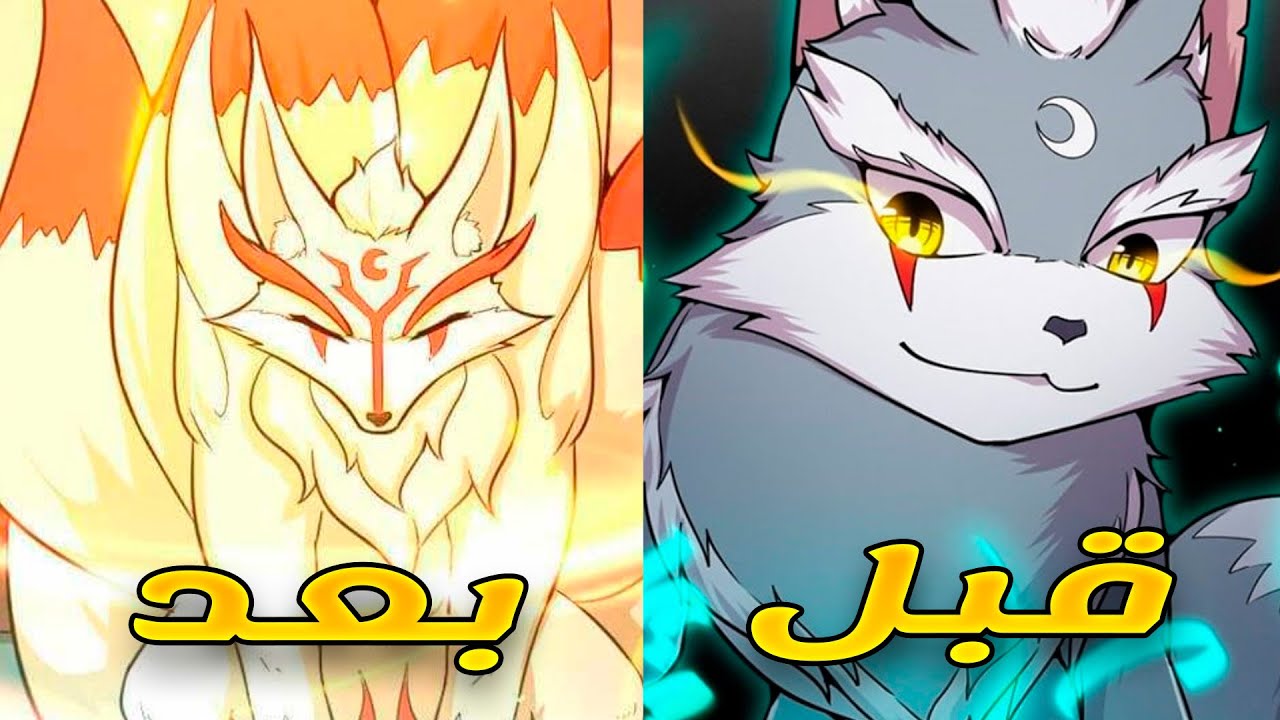 بيعمل عقد مع اضعف حيوان اليف لكنه بيمتلك قدرة غير محدودة للتطور حكاية تشو الموسم الاول كامل