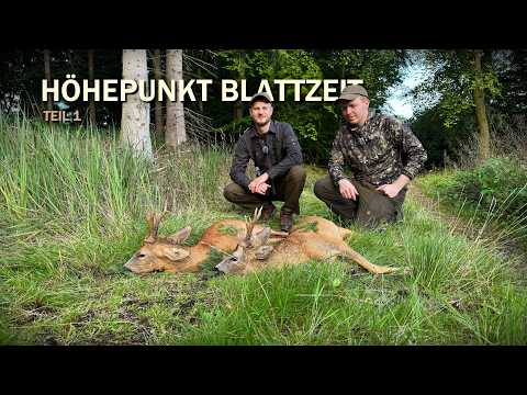 Peak Rut in Mecklenburg-Vorpommern - Hunting Crown