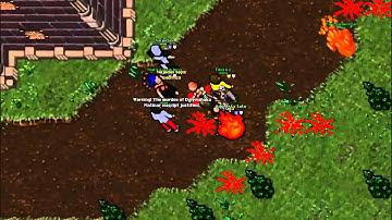 Tibia pk eternia fozzye team part 2 HD