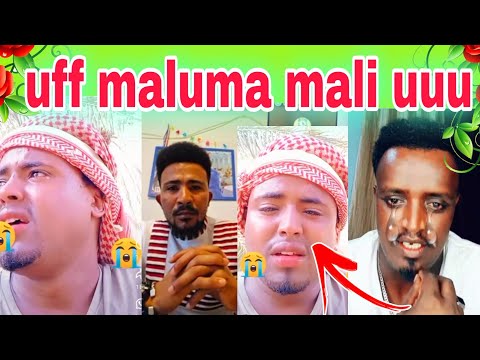 Namni Tokko Du E Kaa Ajjesse Qabanii