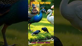 malika bachan katha #malika #odia #jagannath @AnitaSahu-pf1fi #malikabachana