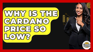Why Is the Cardano Price So Low? - CryptoBasics360.com