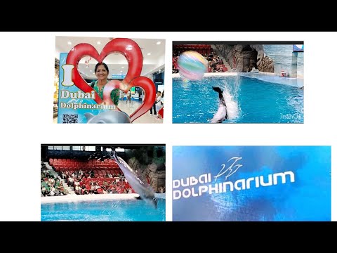 Dubai Dolphinarium/ Travel vlog /7 Emirates Trip with Soman's Travels Kochi