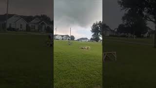 Young Rider Attempts Bike Ramp Jump, Faceplants