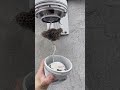Customer complained hikvision camera not working #camera #bees #fix #fixcamera
