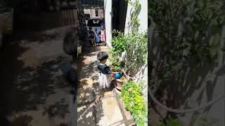 teaching life skills #wateringplants #education #school #bachpannoweduvion #lifeskills