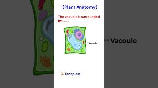 Vacuole#shorts#university #botany#plantscience#plantbiology#plants#plantlife#sciencefacts#biology